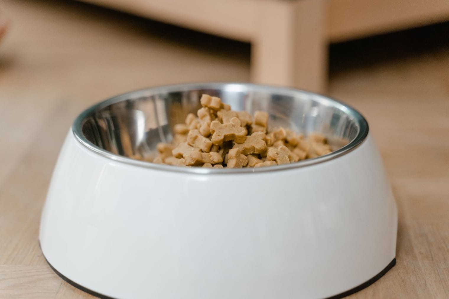 A bowl of dry puppy food on a wooden floor, ready for a scheduled meal